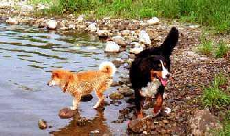 ���ΐ�̐��͂܂��₽��