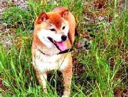 �������͋C����������j����