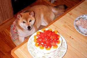 �������݂��񂪍D���Ȃ�