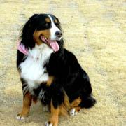 �΁[�Ɂ[�A���ꂵ��!!