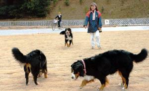 ����!����!�o�[�j�[�X�J!!