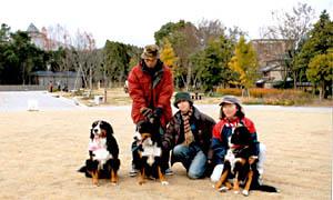 �����܂��W���ʐ^