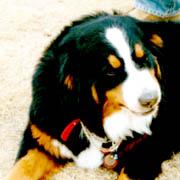 ���i�����Ƃ�A���Ƃ˂����!!