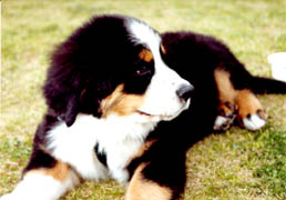 �����Ȏ��̋L��