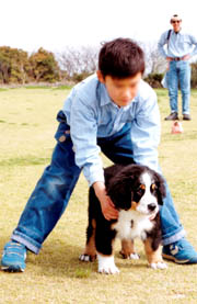 �ǂ��܂ōs���̂��ȁH