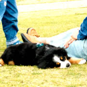 �傫���Ȃ�����E�E�E