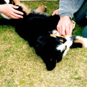 �݂�Ȃ̎肪�������������E�E�E