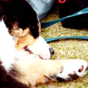 ���Ă�̂͂ǂ�Ȗ��H