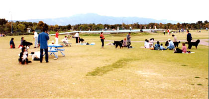 �O�ь��R�c��̒��̌����̕Ћ�