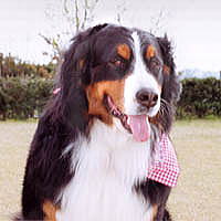 �V�C���������������̂΁[�Ɂ[