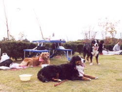 �݂�Ȃ����C����