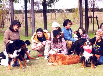 �͂��A�|�[�Y�����݂�ȑO�ނ��Ȃ����