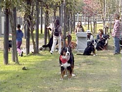 �݂�ȉ�b���͂���ł���ˁB