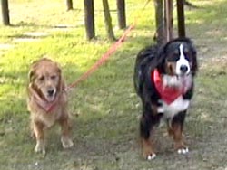 �����������A����������������ς����ˁB