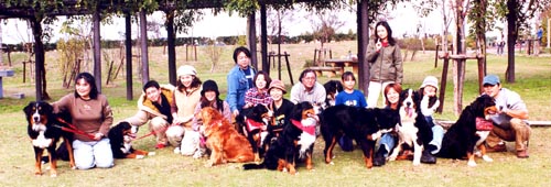 �����A���K�����Ă���̂�����H