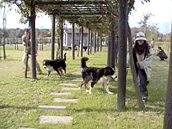 �݂�Ȃ��܂������Ă��B