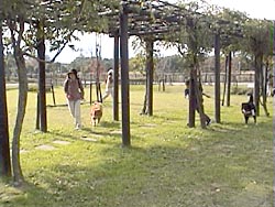 ����͂����ꂩ��?