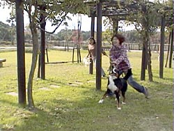 �`�r�b�R�̃~�i����������΂��Ă��!!