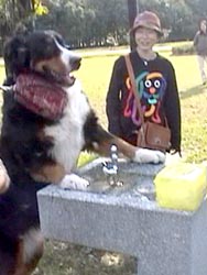 �������`���B�΁[�Ɂ[�͏o���Ȃ�������B