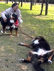 �̂��Ƃ��Ă����炩���ˁB�����ȁ`�B