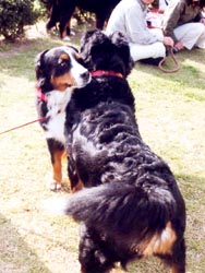 �������������ˁ`��ӂӂ���