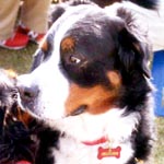 �x�������