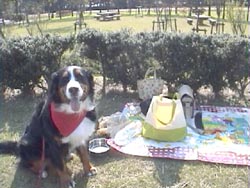 �΁[�Ɂ[�́A�v�[����̃��W���[�V�[�g����!!