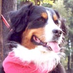 �΁[�Ɂ[�Ł`���􂱂�ɂ��́B