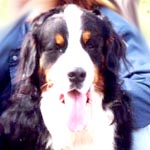 �_�����N