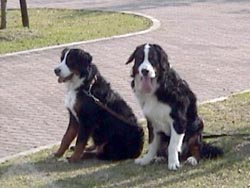 �������ǂ����˂��􂤂��܂���!!