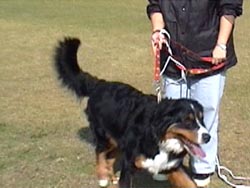 ������l���ˁB����΂�!!