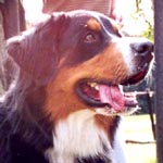 �J���������