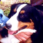 �~�i�����