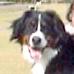 ���l�����