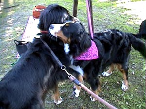 �u���������`�A���l�����v