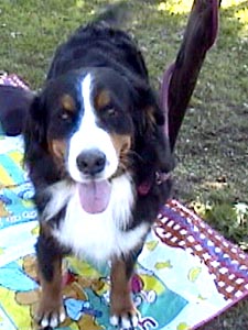 �����D��!!�΁[�Ɂ[�B