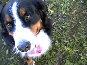 �E�L�E�L�΁[�Ɂ[