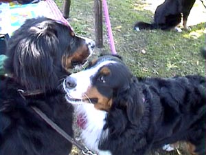 ����΂��ăA�s�[������΁[�Ɂ[