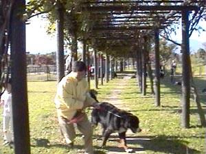 ���ꂪ���d��?���[�c�@���g�N�B