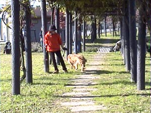 �ؗ�Ȃ�Z�A��������{�����������B