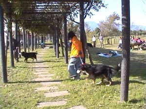 ����΂�!!���u�����B