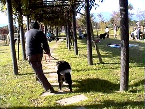 �V�����A�N�₩�ȃ^�[��