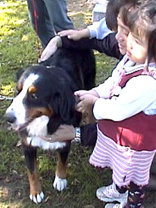 �q����D�����C�����B