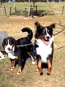 �W���C�X�N�A��W�����v!!