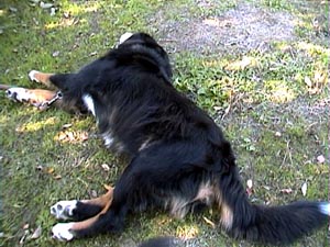 ���͐Q�Ă邾������B�B�B