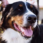 ���l�����͍���΁[�Ɂ[�ƒ��ǂ�