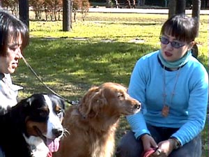 �~�i������ƂƂ����������