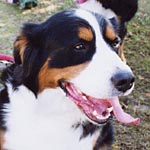 �~�i�����͉��������̖���!!