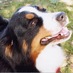 ���o�j�A���������!!