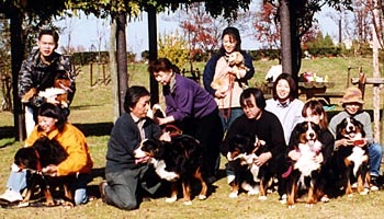 �u�����������ĉ������˂��B�v�u�͂��A�|�[�Y!!�v